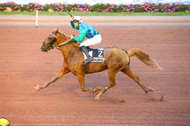 Photo d'arrivée de la course pmu PRIX DE L'AFASEC DE GRAIGNES à CABOURG le Vendredi 28 juillet 2017