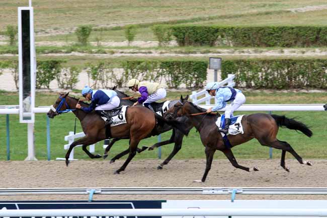 Photo d'arrivée de la course pmu PRIX D'HOULLEY à DEAUVILLE le Samedi 29 juillet 2017