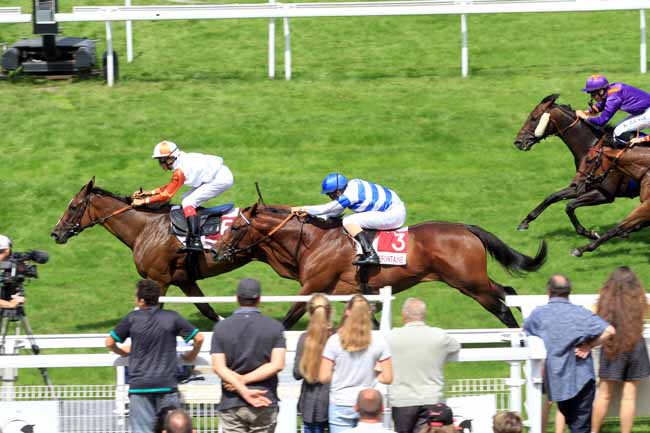 Photo d'arrivée de la course pmu PRIX GUY DU FAUR DE PIBRAC à CLAIREFONTAINE le Lundi 31 juillet 2017