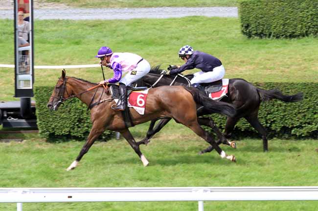 Photo d'arrivée de la course pmu PRIX COUREZ AUX COURSES à CLAIREFONTAINE le Lundi 31 juillet 2017