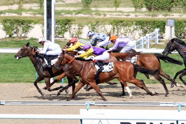Photo d'arrivée de la course pmu PRIX DE CAMEMBERT à DEAUVILLE le Mardi 1 août 2017