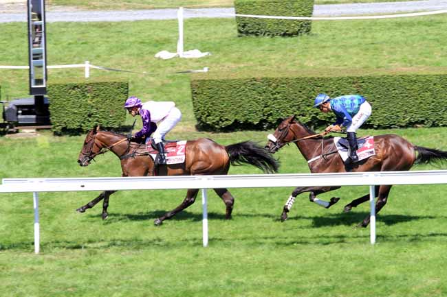 Photo d'arrivée de la course pmu PRIX DE L'ORBIQUET à CLAIREFONTAINE le Samedi 5 août 2017