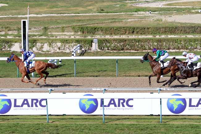 Photo d'arrivée de la course pmu PRIX DU HARAS VACACION (ARGENTINA) à DEAUVILLE le Dimanche 6 août 2017