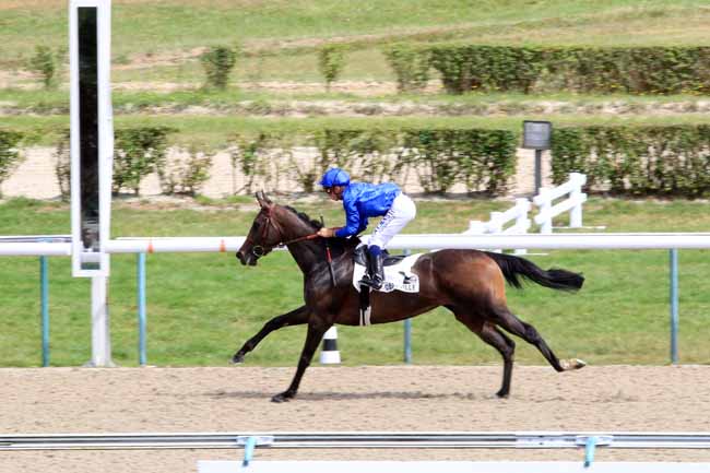 Photo d'arrivée de la course pmu PRIX DE COURBEPINE à DEAUVILLE le Jeudi 10 août 2017