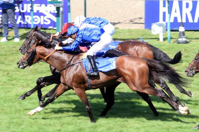 Photo d'arrivée de la course pmu PRIX DU HARAS DE FRESNAY-LE-BUFFARD - JACQUES LE MAROIS à DEAUVILLE le Dimanche 13 août 2017