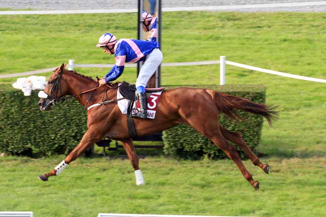 Photo d'arrivée de la course pmu PRIX DES PEUPLIERS à CLAIREFONTAINE le Mercredi 16 août 2017