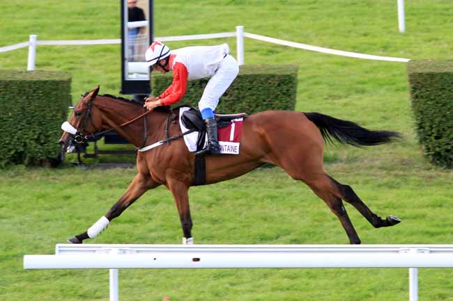 Photo d'arrivée de la course pmu PRIX DES HORTENSIAS à CLAIREFONTAINE le Mercredi 16 août 2017