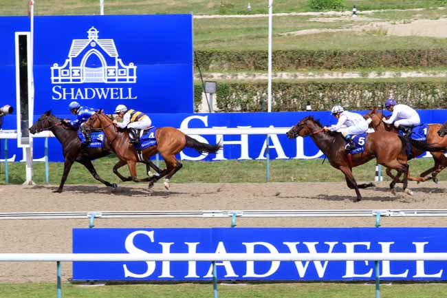 Photo d'arrivée de la course pmu PRIX ETALON MUKHADRAM à DEAUVILLE le Samedi 19 août 2017