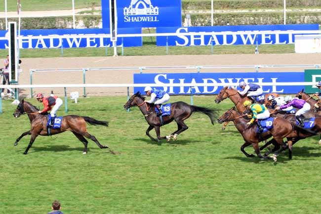 Photo d'arrivée de la course pmu PRIX ETALON MUHAARAR à DEAUVILLE le Samedi 19 août 2017