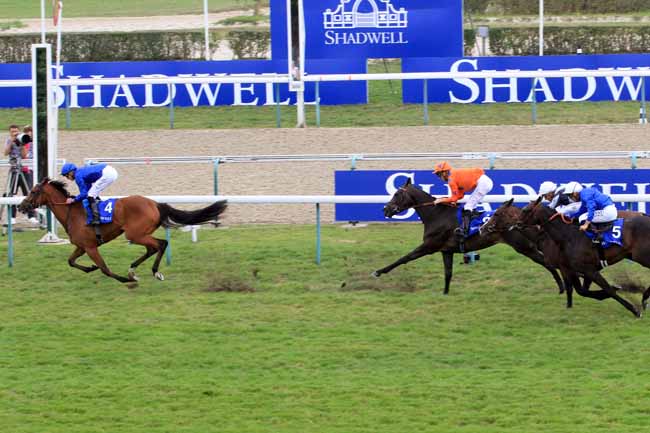 Photo d'arrivée de la course pmu SHADWELL PRIX DE LA NONETTE à DEAUVILLE le Samedi 19 août 2017