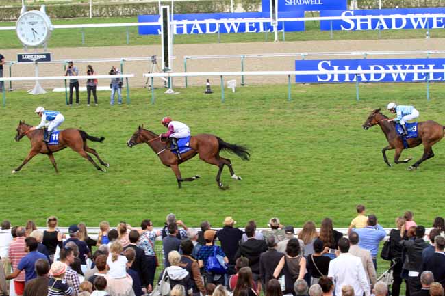Photo d'arrivée de la course pmu SHADWELL PRIX DU CALVADOS à DEAUVILLE le Samedi 19 août 2017