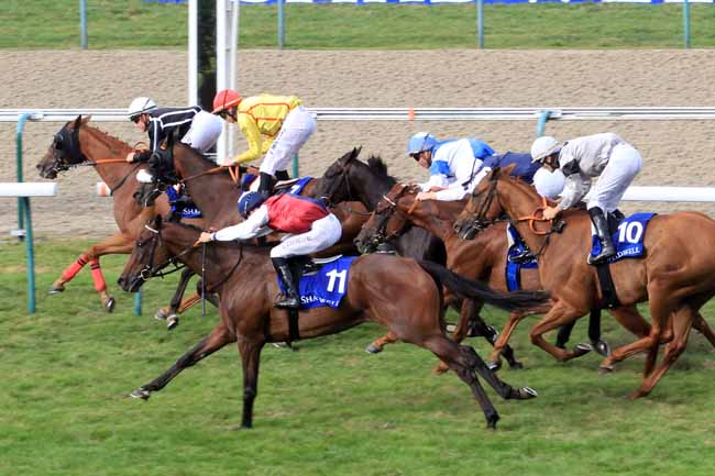Photo d'arrivée de la course pmu PRIX ETALON MAWATHEEQ AU HARAS DU THENNEY à DEAUVILLE le Samedi 19 août 2017