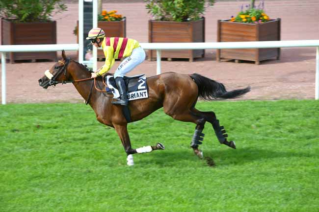Photo d'arrivée de la course pmu PRIX GACKO à CHATEAUBRIANT le Lundi 21 août 2017