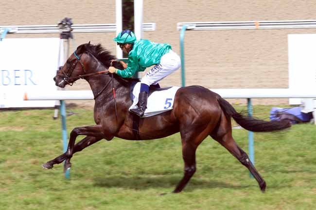 Photo d'arrivée de la course pmu PRIX DE MONTAIGU à DEAUVILLE le Mardi 22 août 2017