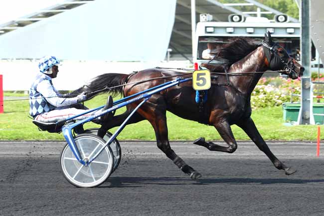 Photo d'arrivée de la course pmu PRIX D'ANTIBES à PARIS-VINCENNES le Mercredi 23 août 2017