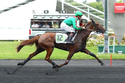 Photo d'arrivée de la course pmu PRIX DE TOURS à PARIS-VINCENNES le Mercredi 23 août 2017