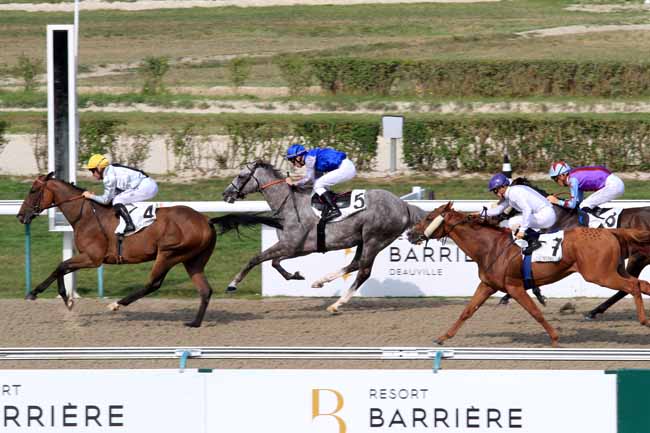 Photo d'arrivée de la course pmu PRIX DE LA RECONVERSION D'UN CHEVAL DE COURSES EN CHEVAL DE D'EXTREME COWBOY RACE à DEAUVILLE le Samedi 26 août 2017