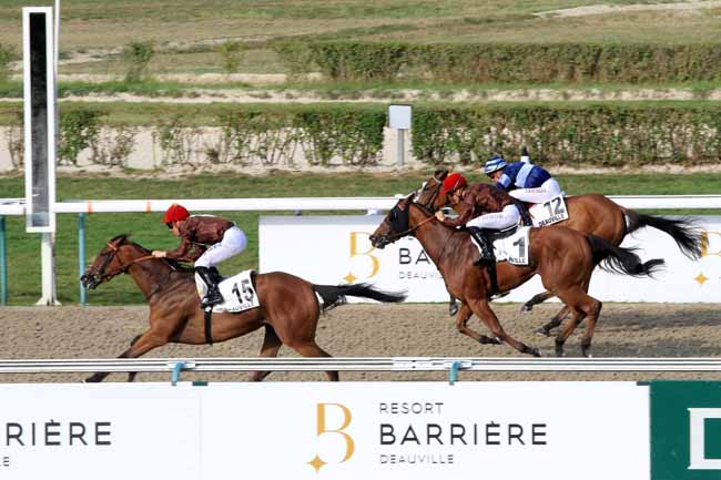 Photo d'arrivée de la course pmu PRIX DE LA RECONVERSION D'UN CHEVAL DE COURSES EN CHEVAL DE JUMPING à DEAUVILLE le Samedi 26 août 2017