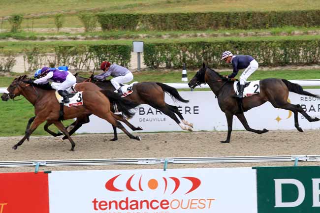 Photo d'arrivée de la course pmu PRIX DU HAMEL à DEAUVILLE le Mercredi 30 août 2017