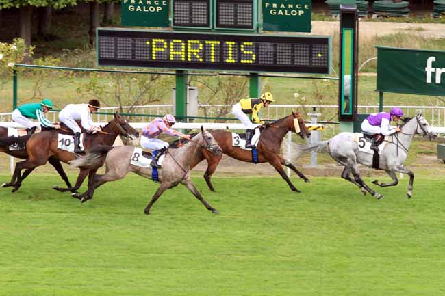 Photo d'arrivée de la course pmu PRIX DE CRECY FITZ-JAMES à SAINT-CLOUD le Jeudi 31 août 2017