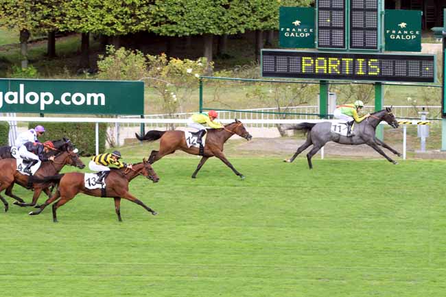 Photo d'arrivée de la course pmu PRIX DE MONTMAGNY à SAINT-CLOUD le Jeudi 31 août 2017