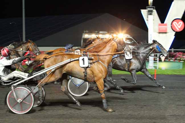 Photo d'arrivée de la course pmu PRIX LAMPETIA à PARIS-VINCENNES le Vendredi 1 septembre 2017
