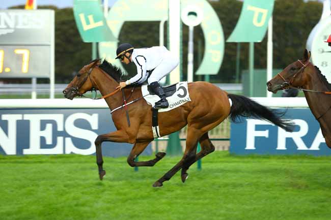 Photo d'arrivée de la course pmu PRIX DE LIANCOURT à CHANTILLY le Dimanche 3 septembre 2017