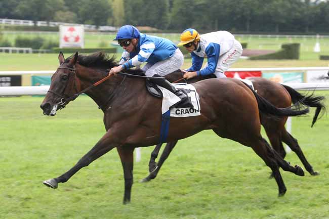 Photo d'arrivée de la course pmu PRIX DES HALLES DE CRAON à CRAON le Lundi 4 septembre 2017