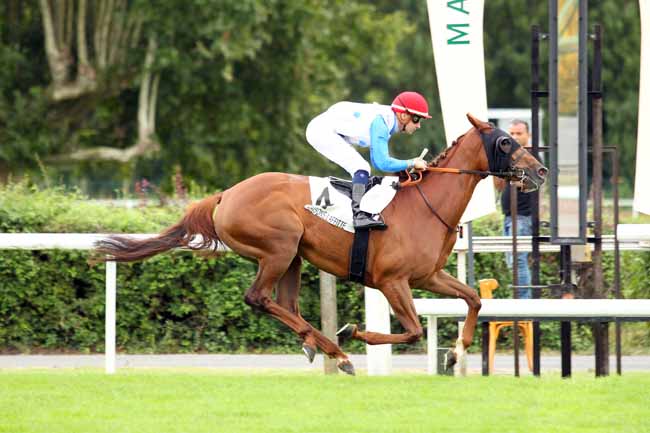 Photo d'arrivée de la course pmu PRIX DE LA ROUTE DES PAVILLONS à MAISONS-LAFFITTE le Mardi 5 septembre 2017