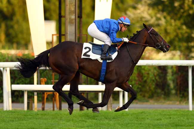 Photo d'arrivée de la course pmu PRIX DE LA ROUTE NEUVE à MAISONS-LAFFITTE le Mardi 5 septembre 2017
