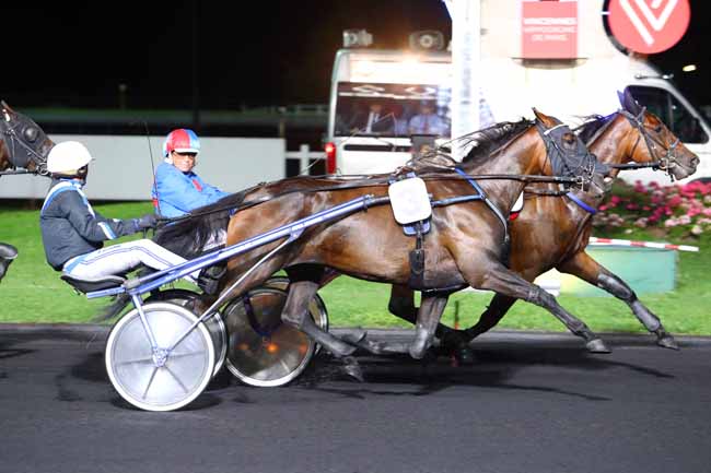 Photo d'arrivée de la course pmu PRIX GUERICKE à PARIS-VINCENNES le Mardi 5 septembre 2017
