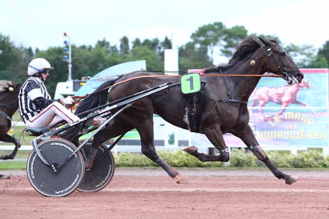 Photo d'arrivée de la course pmu PRIX SAS - PASSENAUD RECYCLAGE à LE MANS le Mercredi 6 septembre 2017