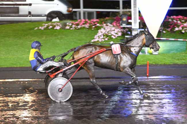 Photo d'arrivée de la course pmu PRIX MAGDALENA (GR A) à PARIS-VINCENNES le Vendredi 8 septembre 2017