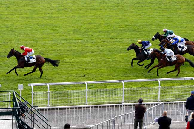 Photo d'arrivée de la course pmu PRIX PHAREL à MAISONS-LAFFITTE le Lundi 11 septembre 2017