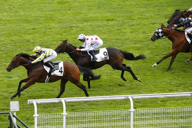 Photo d'arrivée de la course pmu PRIX DE NEWMARKET à MAISONS-LAFFITTE le Lundi 11 septembre 2017