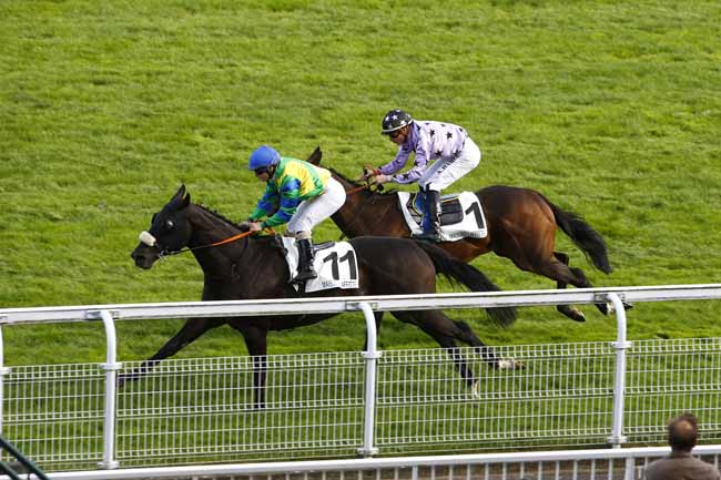 Photo d'arrivée de la course pmu PRIX DE LAMBOURN à MAISONS-LAFFITTE le Lundi 11 septembre 2017