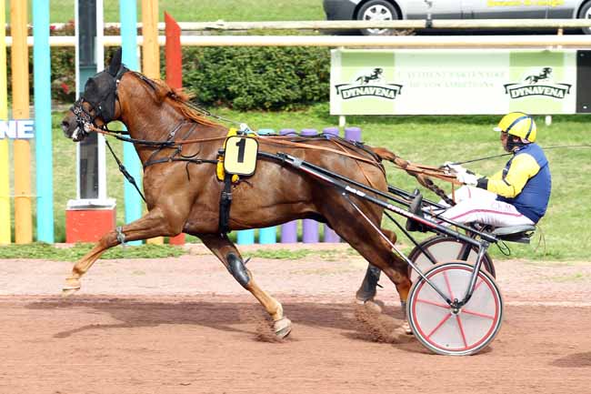 Photo d'arrivée de la course pmu PRIX JONNY RUFFATO à BEAUMONT-DE-LOMAGNE le Mardi 12 septembre 2017