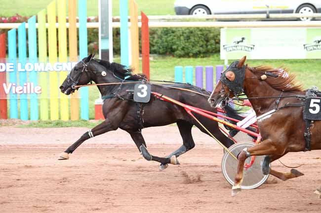 Photo d'arrivée de la course pmu PRIX MAX DAGUZAN GARROS à BEAUMONT-DE-LOMAGNE le Mardi 12 septembre 2017