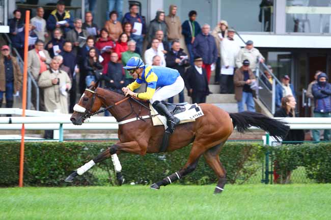 Photo d'arrivée de la course pmu PRIX OLIVIER D'ANDIGNE à LE LION D'ANGERS le Mercredi 13 septembre 2017