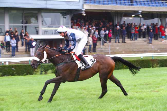 Photo d'arrivée de la course pmu PRIX DE CHAMBELLAY à LE LION D'ANGERS le Mercredi 13 septembre 2017