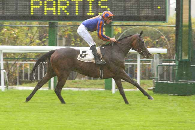 Photo d'arrivée de la course pmu PRIX DU MARCHE AUX FLEURS à SAINT-CLOUD le Mercredi 13 septembre 2017
