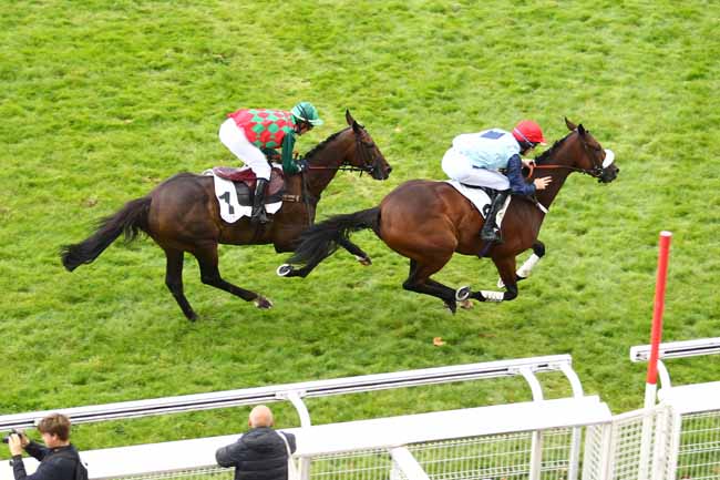 Photo d'arrivée de la course pmu PRIX DE COMPIEGNE à AUTEUIL le Jeudi 14 septembre 2017