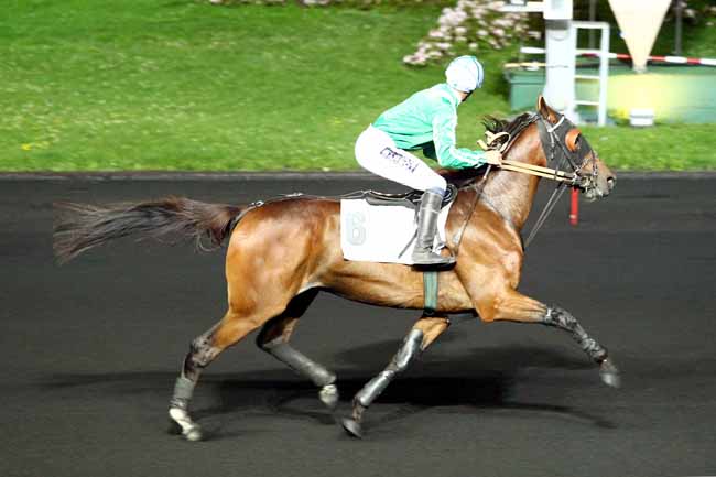 Photo d'arrivée de la course pmu PRIX MENKAR à PARIS-VINCENNES le Vendredi 15 septembre 2017