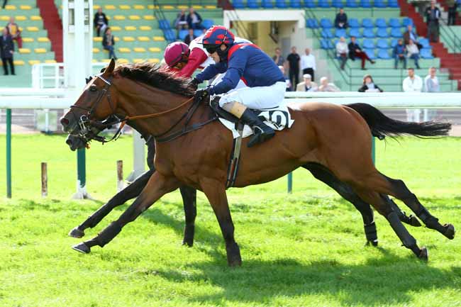Photo d'arrivée de la course pmu PRIX LANDS END à COMPIEGNE le Vendredi 15 septembre 2017