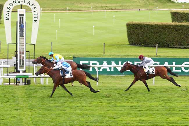 Photo d'arrivée de la course pmu PRIX DU PRINCE D'ORANGE à MAISONS-LAFFITTE le Samedi 16 septembre 2017
