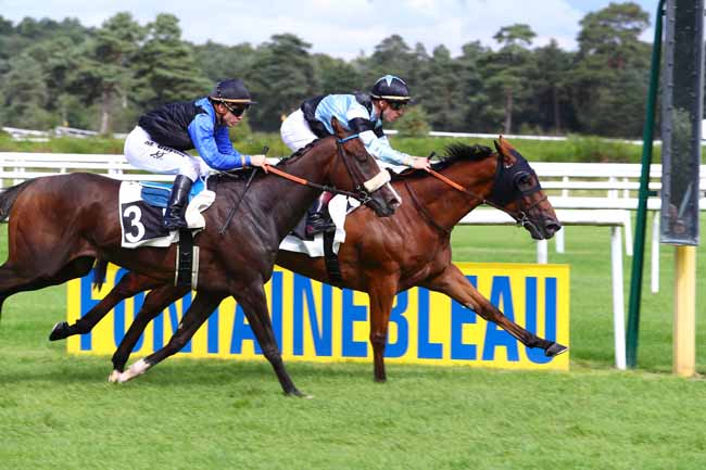 Photo d'arrivée de la course pmu PRIX DU JARDIN DES POETES à FONTAINEBLEAU le Mardi 19 septembre 2017