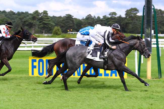 Photo d'arrivée de la course pmu PRIX DU GRAND TRIANON à FONTAINEBLEAU le Mardi 19 septembre 2017