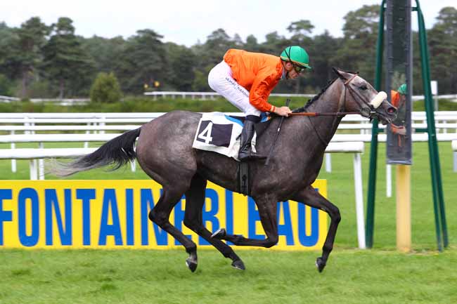 Photo d'arrivée de la course pmu PRIX DE REUILLY à FONTAINEBLEAU le Mardi 19 septembre 2017