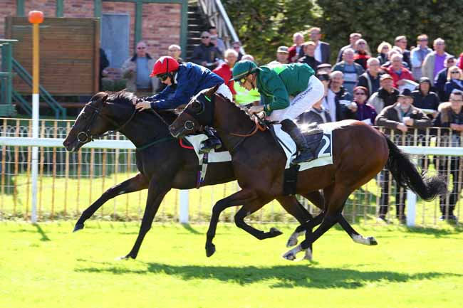 Photo d'arrivée de la course pmu PRIX DE VIVIENNE à FONTAINEBLEAU le Mardi 19 septembre 2017