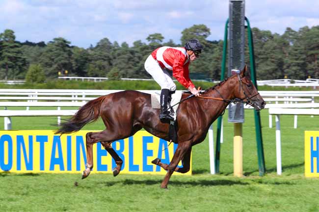 Photo d'arrivée de la course pmu PRIX DE LA CONTRESCARPE à FONTAINEBLEAU le Mardi 19 septembre 2017